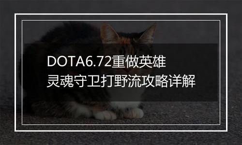 DOTA6.72重做英雄灵魂守卫打野流攻略详解