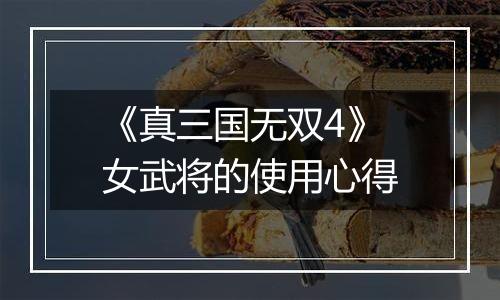 《真三国无双4》女武将的使用心得