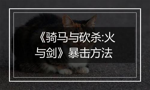 《骑马与砍杀:火与剑》暴击方法