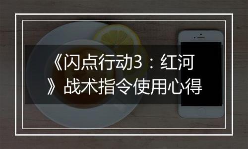 《闪点行动3：红河》战术指令使用心得