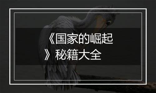 《国家的崛起》秘籍大全