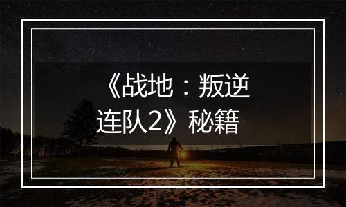 《战地：叛逆连队2》秘籍
