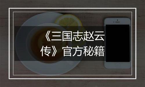 《三国志赵云传》官方秘籍