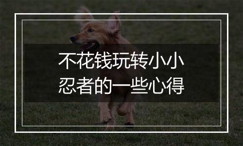 不花钱玩转小小忍者的一些心得