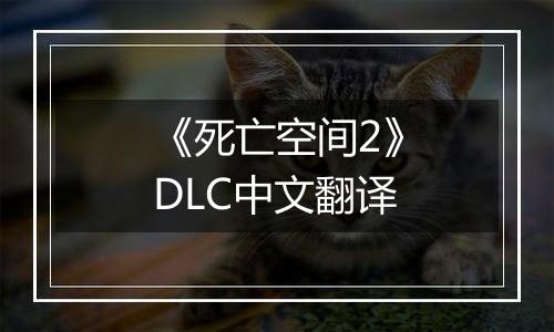 《死亡空间2》DLC中文翻译