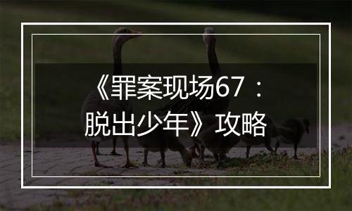 《罪案现场67：脱出少年》攻略