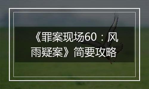 《罪案现场60：风雨疑案》简要攻略