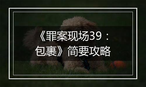 《罪案现场39：包裹》简要攻略