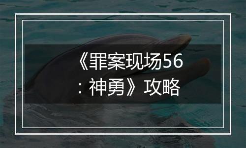 《罪案现场56：神勇》攻略