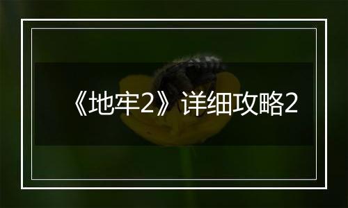 《地牢2》详细攻略2