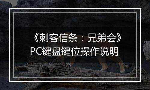 《刺客信条：兄弟会》PC键盘键位操作说明