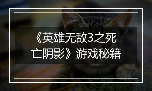 《英雄无敌3之死亡阴影》游戏秘籍
