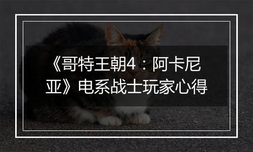 《哥特王朝4：阿卡尼亚》电系战士玩家心得