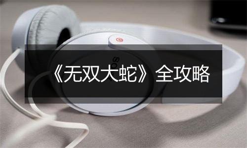 《无双大蛇》全攻略