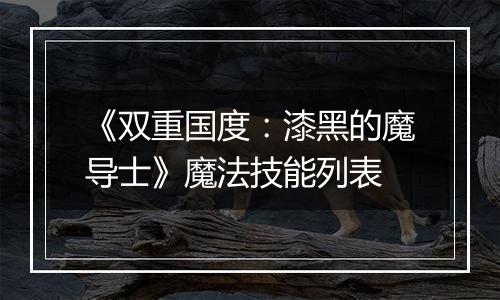 《双重国度：漆黑的魔导士》魔法技能列表