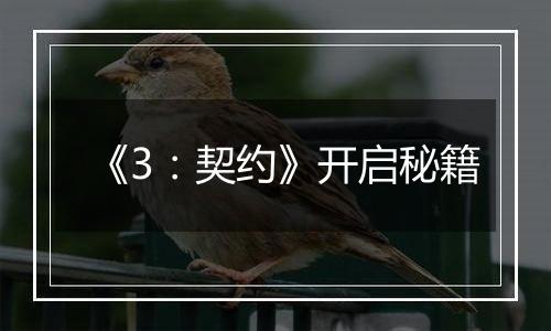 《3：契约》开启秘籍
