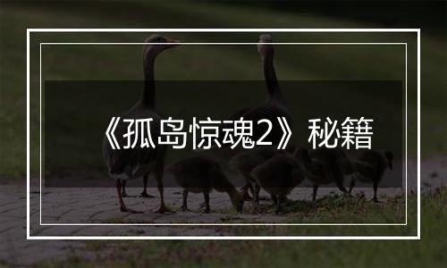 《孤岛惊魂2》秘籍