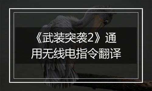 《武装突袭2》通用无线电指令翻译