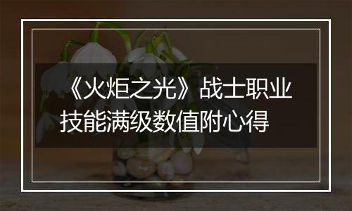 《火炬之光》战士职业技能满级数值附心得