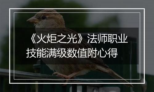 《火炬之光》法师职业技能满级数值附心得