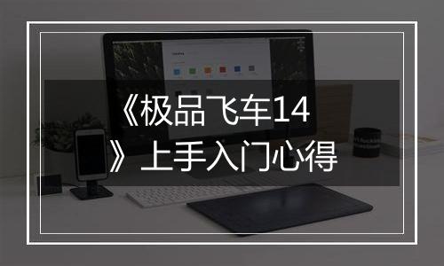 《极品飞车14》上手入门心得
