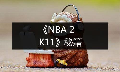 《NBA 2K11》秘籍