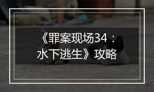 《罪案现场34：水下逃生》攻略