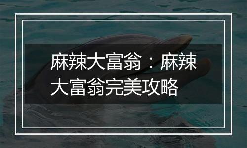 麻辣大富翁：麻辣大富翁完美攻略