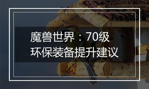 魔兽世界：70级环保装备提升建议
