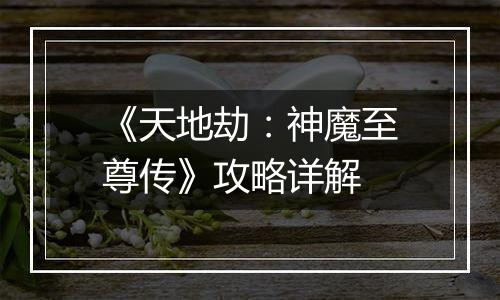 《天地劫：神魔至尊传》攻略详解