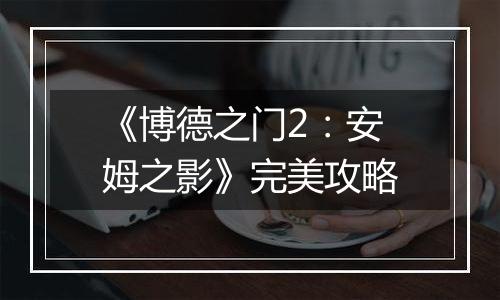 《博德之门2：安姆之影》完美攻略