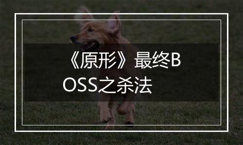 《原形》最终BOSS之杀法