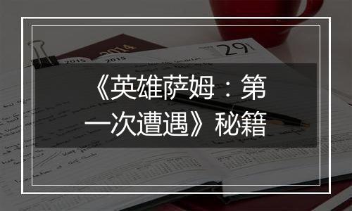 《英雄萨姆：第一次遭遇》秘籍