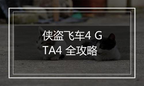 侠盗飞车4 GTA4 全攻略