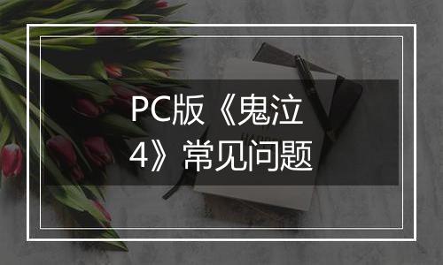 PC版《鬼泣4》常见问题