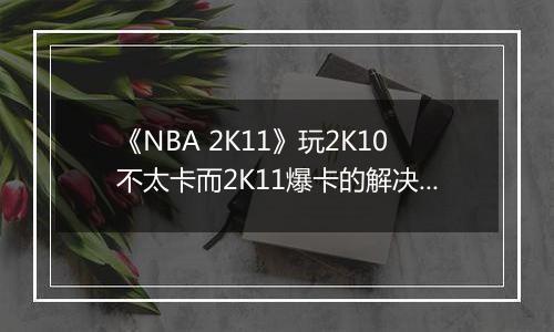 《NBA 2K11》玩2K10不太卡而2K11爆卡的解决方案