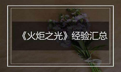 《火炬之光》经验汇总