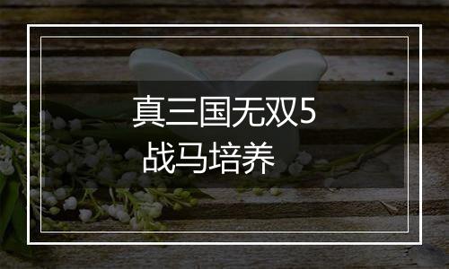 真三国无双5 战马培养