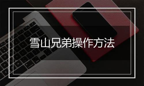雪山兄弟操作方法