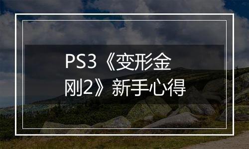 PS3《变形金刚2》新手心得