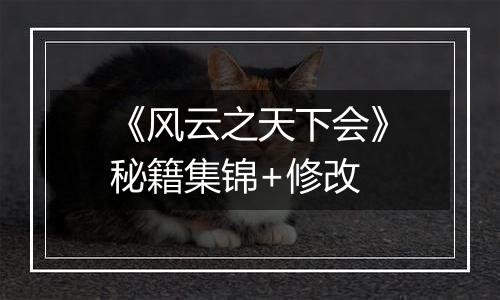 《风云之天下会》秘籍集锦+修改