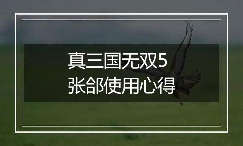 真三国无双5 张郃使用心得