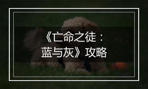 《亡命之徒：蓝与灰》攻略