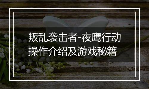 叛乱袭击者-夜鹰行动操作介绍及游戏秘籍