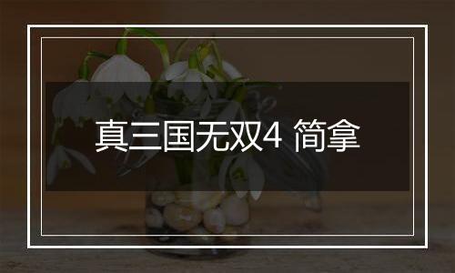 真三国无双4 简拿