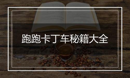 跑跑卡丁车秘籍大全