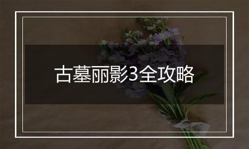 古墓丽影3全攻略