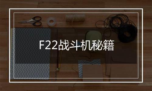 F22战斗机秘籍