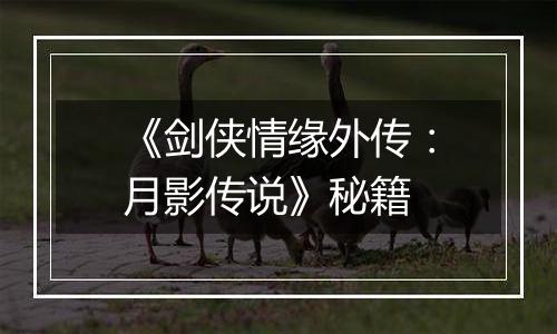 《剑侠情缘外传：月影传说》秘籍