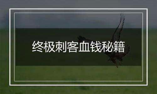 终极刺客血钱秘籍